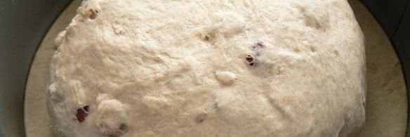 ржаной хлеб с клюквой и грецким орехом