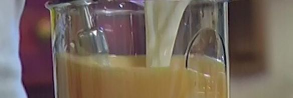 хворост-гнезда