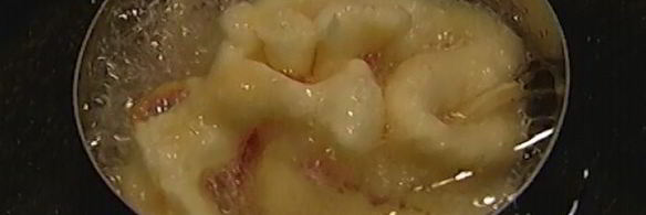 хворост-гнезда