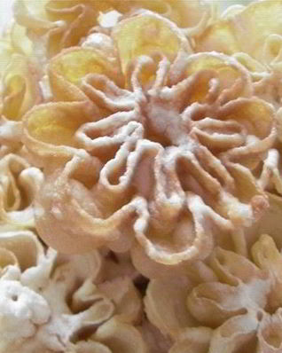 Хворост Розочки