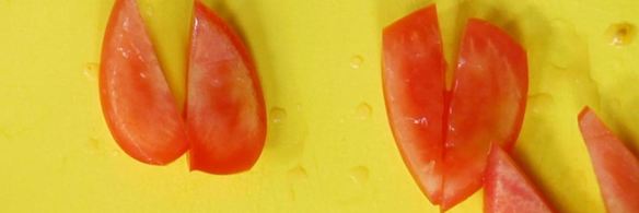 конвертики с гребешками, семгой и сыром