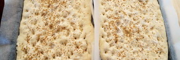 греческий лаваш лагана