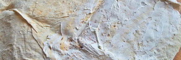 курица с овощами в лаваше