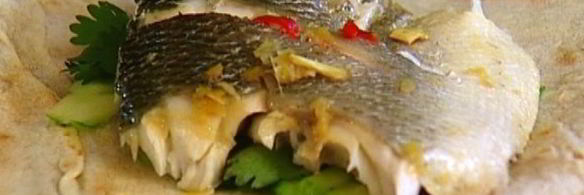 пряный сибас в лаваше с огурцом и зеленью