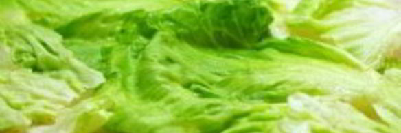 рулетики из лаваша