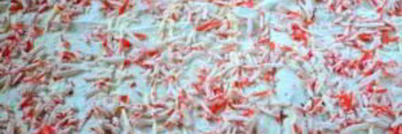 закуска из лаваша с крабовыми палочками