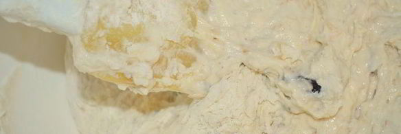 бездрожжевая кефирная лепешка с фундуком и черносливом