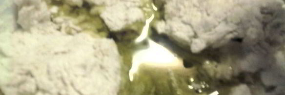 фокачча с бальзамическими помидорами