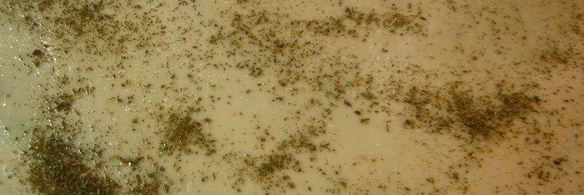 хлеб-лепешка с ореховой травой