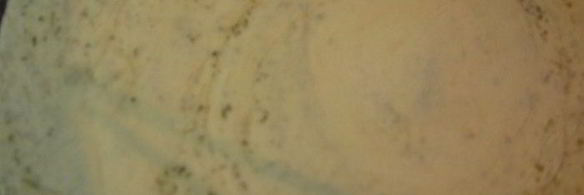 хлеб-лепешка с ореховой травой