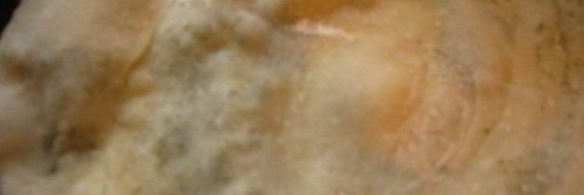 хлеб-лепешка с ореховой травой