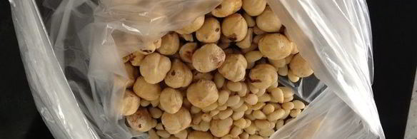 хотток — корейские лепешки со сладкой начинкой