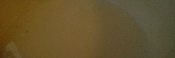 мясные лепешки с брынзой в чесночной панировке