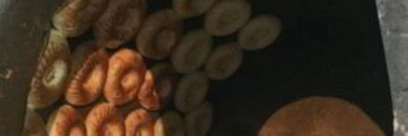 тандырные лепешки