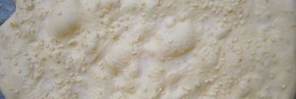 восточная лепешка с базиликовым медом