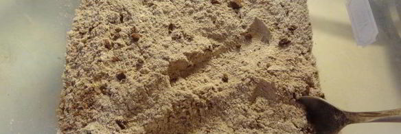 шоколадные маффины паучки