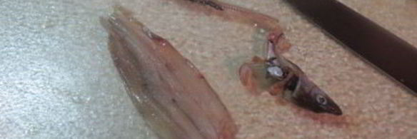 рыбные оладушки