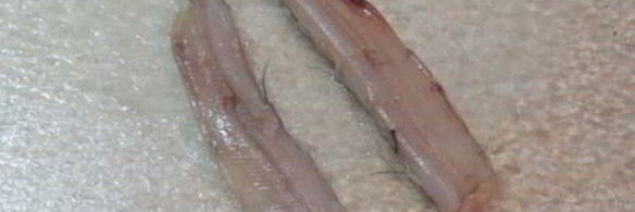 рыбные оладушки