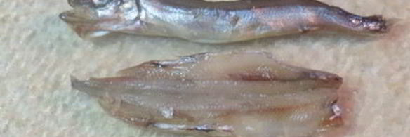 рыбные оладушки