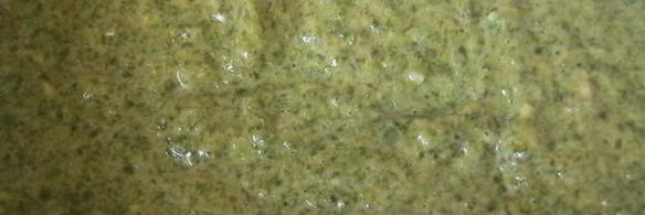 силка — оладьи из свекольной ботвы