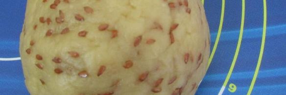 галетное печенье с семенами льна