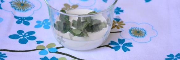 кукурузное печенье с мятным ганашем