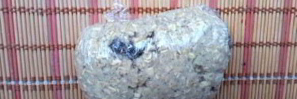 овсяное печенье с кефиром