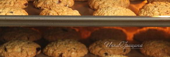 овсяное печенье с вяленой клюквой