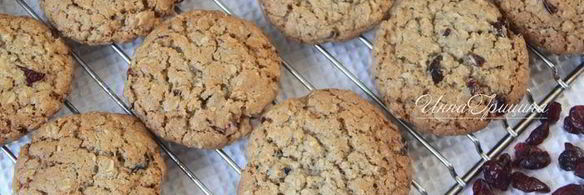 овсяное печенье с вяленой клюквой