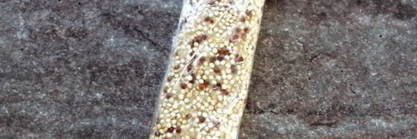 печенье из киноа