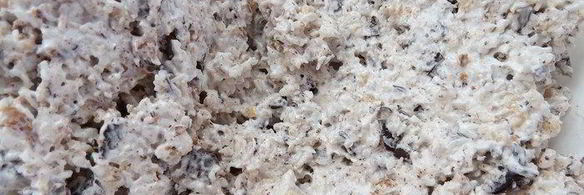 печенье с кокосом, орехами и шоколадом