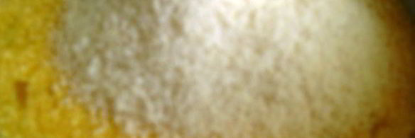 райское печенье