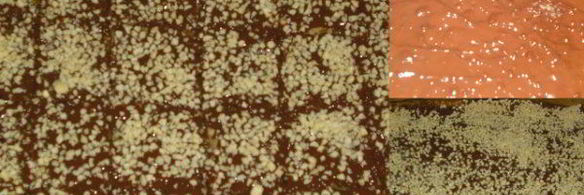 рождественское печенье разных сортов