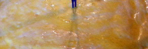 дрожжевой пирог с картошкой