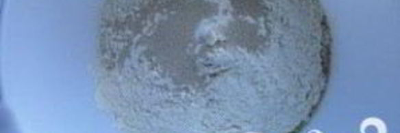 крытый пирог с беконом и сыром