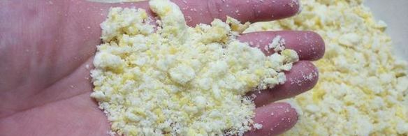 песочный пирог с фруктами и белковой прослойкой