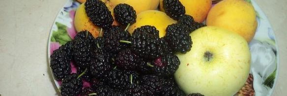 песочный пирог с фруктами и белковой прослойкой