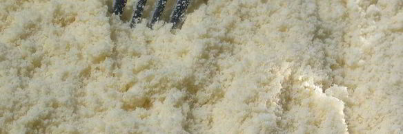 пирог абрикосовый оранжевое лето