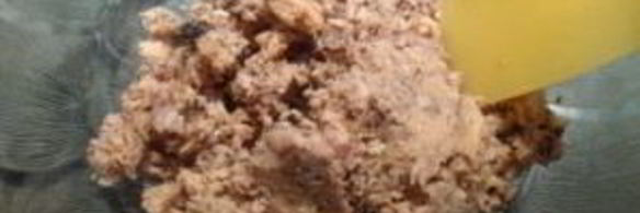 пирог с горбушей консервированной