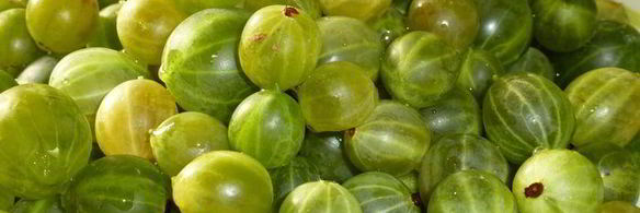 пирог с крыжовником под шапочкой безе