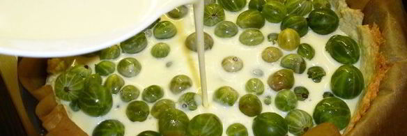 пирог с крыжовником под шапочкой безе