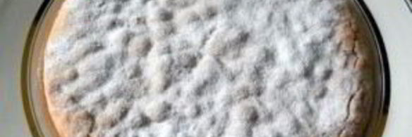 постный пирог со смородиной