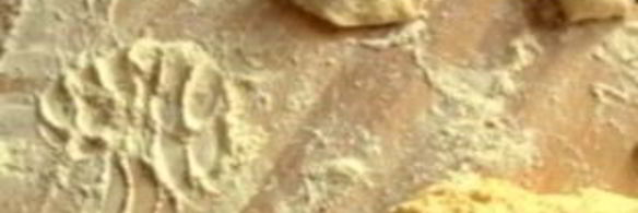 жареные пирожки с вишней на кефире