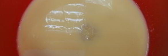 брауни с апельсином