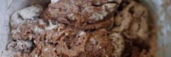 шоколадные пирожные с орехами пекан