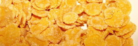 ванильные пирожные с белым шоколадом и кедровыми орешками розы в снегу