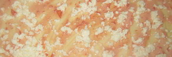 пицца на домашнем дрожжевом тесте