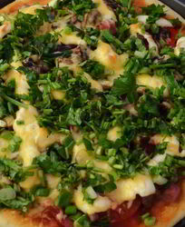 Пицца на дрожжевом тесте