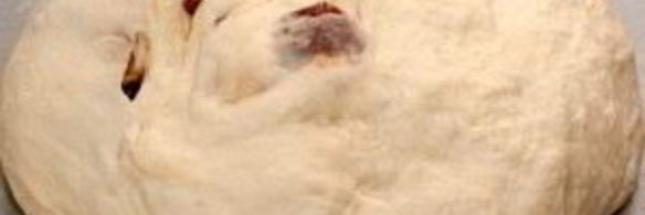 пицца с авокадо