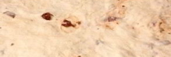 пицца с авокадо